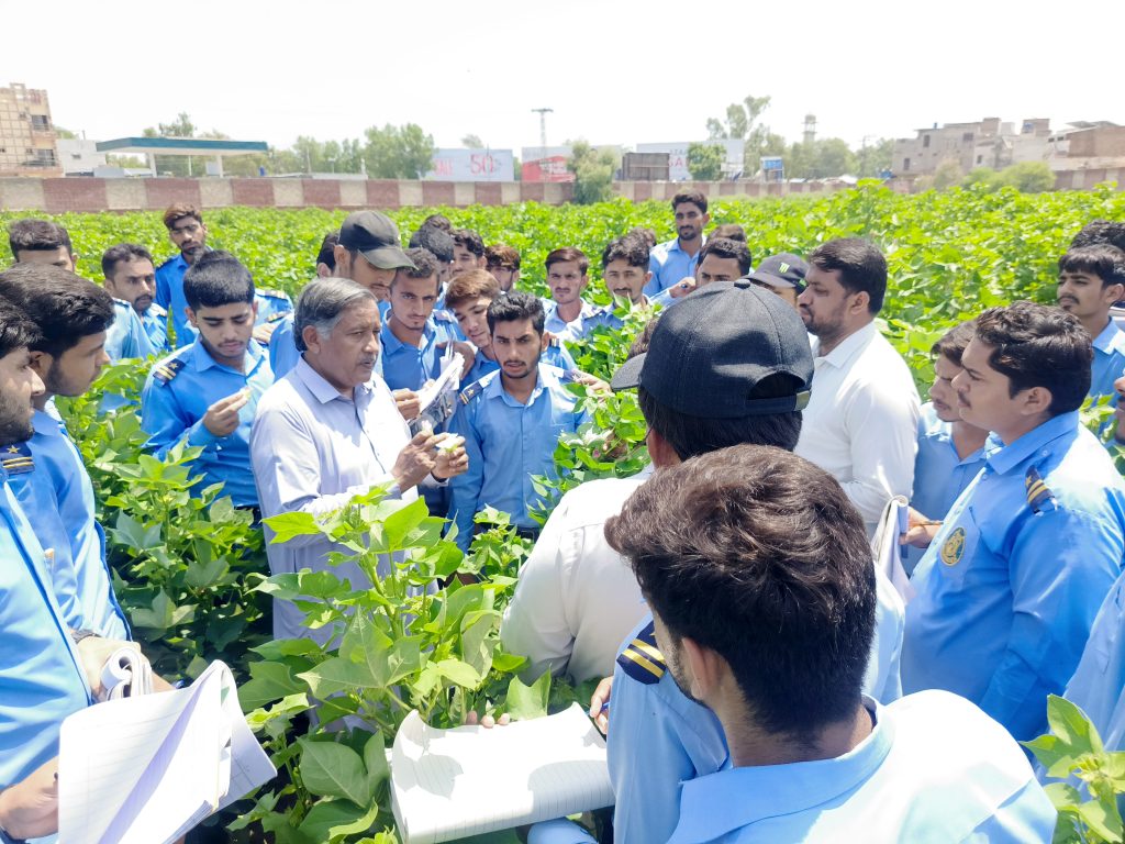 Student's Practical / Cotton Pest Scouting